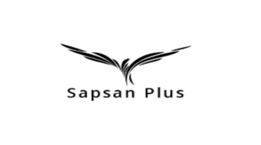 Доставка карго из Китая лучшими компаниями: Sapsan Plus